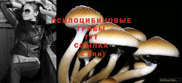 кокс Верея